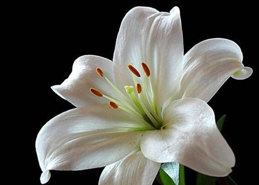 tranh gạch 3d nghệ thuật 3