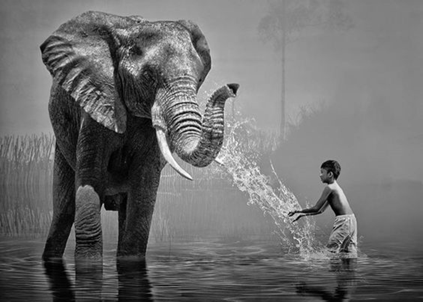 tranh gạch 3d nghệ thuật 4