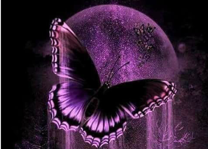 tranh gạch 3d nghệ thuật 5